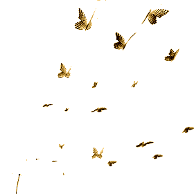 efec